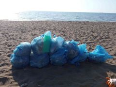 Üniversite öğrencileri Kdz. Ereğli Plajı’nı temizledi